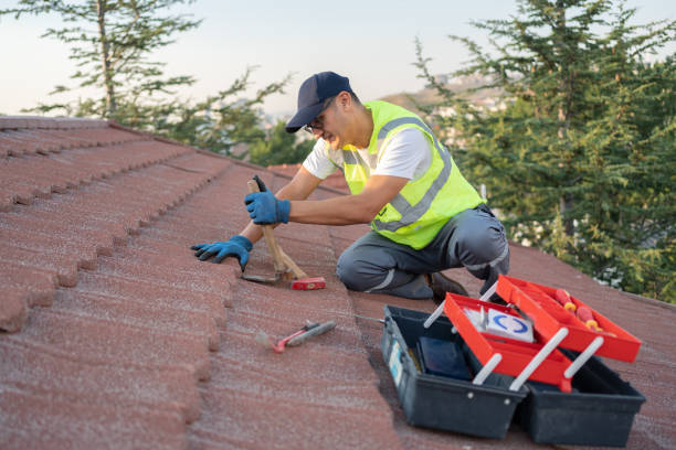 Steel Roofing in North Pearsall, TX